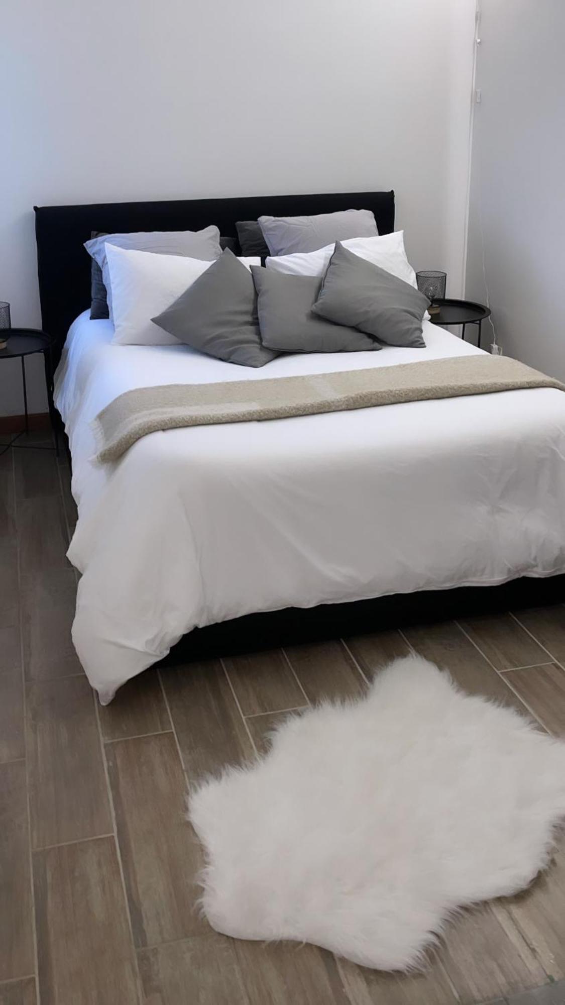 Appartement Elegant T2 Blagnac - Parking -Aeroport-Airbus- Meett Extérieur photo